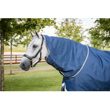 Coperta Horseware Ionic Therapy Turnout 100g Coperta Horseware Ionic Therapy Turnout 100g