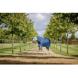 Coperta Horseware Ionic Therapy Turnout 100g Bleu imperial / argent /Marine Blu Coperta Horseware Ionic Therapy Turnout 100g Bleu imperial / argent /Marine Blu