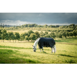 Coperta Horseware Rambo 1680D Turnout 0g Nero / temporale / grigio argento Coperta Horseware Rambo 1680D Turnout 0g Nero / temporale / grigio argento