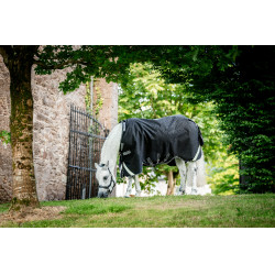 Coperta Horseware Rambo 1680D Turnout 450g VL Nero / temporale / grigio argento Coperta Horseware Rambo 1680D Turnout 450g VL Nero / temporale / grigio argento