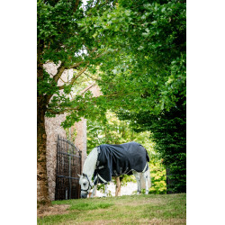 Coperta Horseware Rambo 1680D Turnout 450g VL Nero / temporale / grigio argento Coperta Horseware Rambo 1680D Turnout 450g VL Nero / temporale / grigio argento