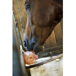 Pietra di sale Hippotonic dell'Himalaya Pietra di sale Hippotonic dell'Himalaya