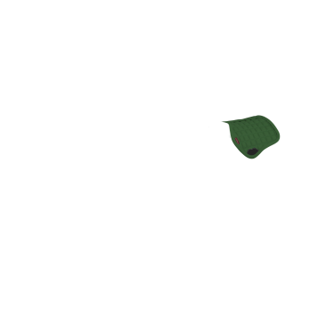 Sottosella LeMieux Toy Pony Verde hunter Sottosella LeMieux Toy Pony Verde hunter