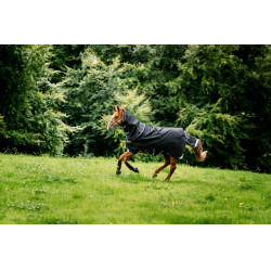 Coperta Horseware Rambo 1680D Turnout Plus 100g Nero / temporale / grigio argento