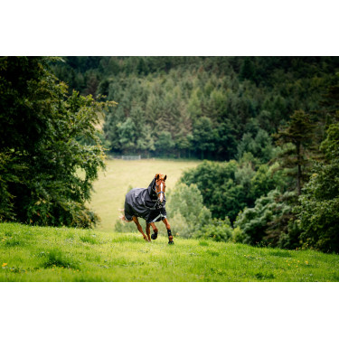 Coperta Horseware Rambo 1680D Turnout Plus 100g Nero / temporale / grigio argento