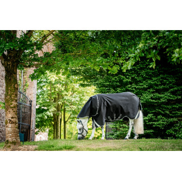 Coperta Horseware Rambo 1680D Turnout Plus 100g Nero / temporale / grigio argento