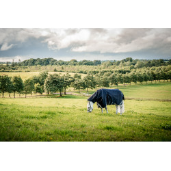 Coperta Horseware Rambo 1680D Turnout Plus 100g Marino / temporale / grigio argento Blu marino Coperta Horseware Rambo 1680D Turnout Plus 100g Marino / temporale / grigio argento Blu marino