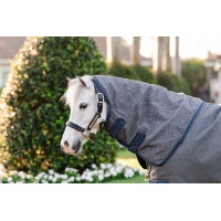 Coperta Horseware Rhino Hexstop Plus Pony Turnout 100g Grigio / indaco / blu navy Coperta Horseware Rhino Hexstop Plus Pony Turnout 100g Grigio / indaco / blu navy