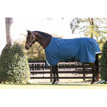 Coperta Horseware Rhino Turnout 100g Coperta Horseware Rhino Turnout 100g