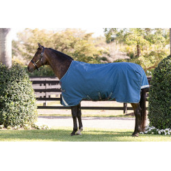 Coperta Horseware Rhino Turnout 100g Marino / grigio / acqua / grigio Blu marino Coperta Horseware Rhino Turnout 100g Marino / grigio / acqua / grigio Blu marino