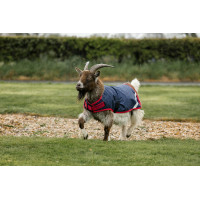 Coperta per capra Horseware 0g Blu navy / rosso Coperta per capra Horseware 0g Blu navy / rosso