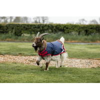 Coperta per capra Horseware 0g Blu navy / rosso Coperta per capra Horseware 0g Blu navy / rosso