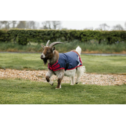 Coperta per capra Horseware 0g Blu navy / rosso Coperta per capra Horseware 0g Blu navy / rosso