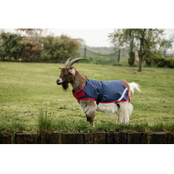 Coperta per capra Horseware 0g Blu navy / rosso Coperta per capra Horseware 0g Blu navy / rosso