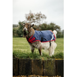 Coperta per capra Horseware 0g Blu navy / rosso Coperta per capra Horseware 0g Blu navy / rosso