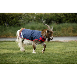 Coperta per capra Horseware 0g Blu navy / rosso Coperta per capra Horseware 0g Blu navy / rosso