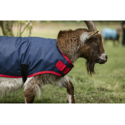Coperta per capra Horseware 0g Blu navy / rosso Coperta per capra Horseware 0g Blu navy / rosso