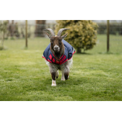 Coperta per capra Horseware 0g Blu navy / rosso Coperta per capra Horseware 0g Blu navy / rosso