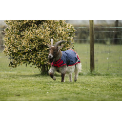 Coperta per capra Horseware 0g Blu navy / rosso Coperta per capra Horseware 0g Blu navy / rosso