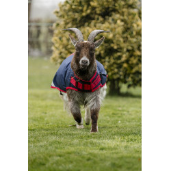 Coperta per capra Horseware 0g Blu navy / rosso Coperta per capra Horseware 0g Blu navy / rosso