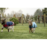 Coperta per capra Horseware 0g Blu navy / rosso