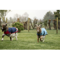 Coperta per capra Horseware 0g Coperta per capra Horseware 0g