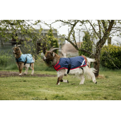 Coperta per capra Horseware 0g Coperta per capra Horseware 0g