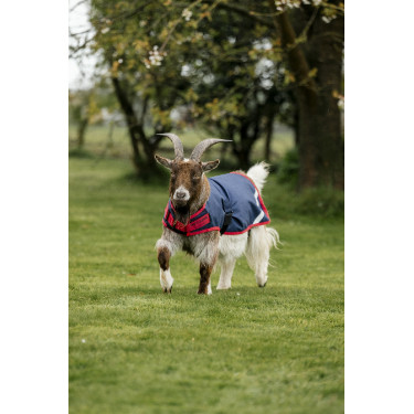 Coperta per capra Horseware 200g Coperta per capra Horseware 200g