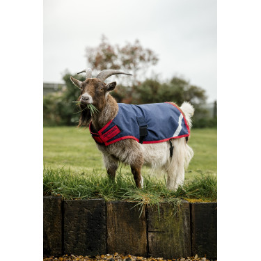 Coperta per capra Horseware 200g Coperta per capra Horseware 200g