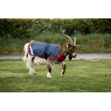 Coperta per capra Horseware 200g Coperta per capra Horseware 200g