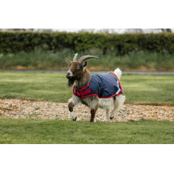 Coperta per capra Horseware 200g Blu navy / rosso Coperta per capra Horseware 200g Blu navy / rosso