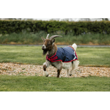 Coperta per capra Horseware 200g Coperta per capra Horseware 200g