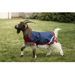 Coperta per capra Horseware 200g Blu navy / rosso Coperta per capra Horseware 200g Blu navy / rosso