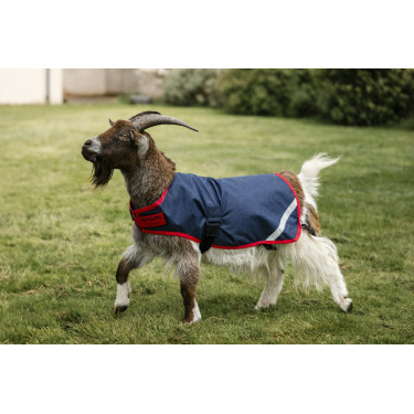 Coperta per capra Horseware 200g Coperta per capra Horseware 200g