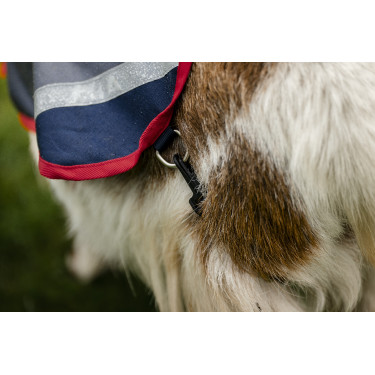Coperta per capra Horseware 200g Coperta per capra Horseware 200g