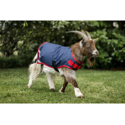 Coperta per capra Horseware 200g Blu navy / rosso Coperta per capra Horseware 200g Blu navy / rosso