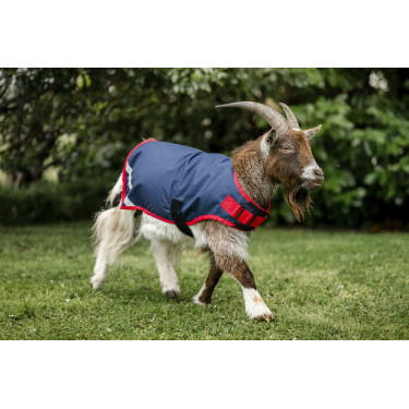 Coperta per capra Horseware 200g Coperta per capra Horseware 200g