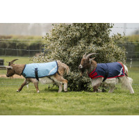 Coperta per capra Horseware 200g Blu navy / rosso