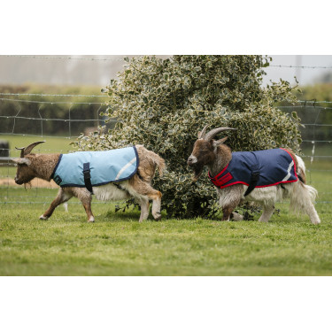 Coperta per capra Horseware 200g Coperta per capra Horseware 200g