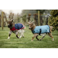 Coperta per capra Horseware 200g Blu navy / rosso