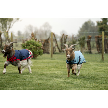 Coperta per capra Horseware 200g Coperta per capra Horseware 200g
