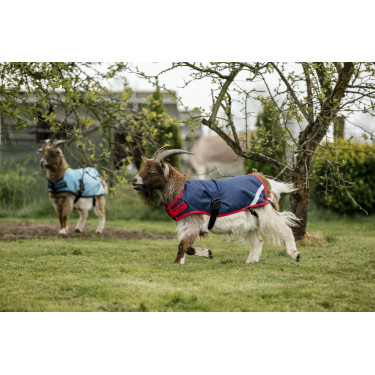 Coperta per capra Horseware 200g Coperta per capra Horseware 200g