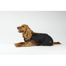 Coperta per cane Horseware Newmarket Oro bianco Coperta per cane Horseware Newmarket Oro bianco