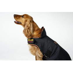 Coperta per cane Horseware Newmarket Oro bianco Coperta per cane Horseware Newmarket Oro bianco