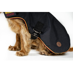 Coperta per cane Horseware Newmarket Oro bianco Coperta per cane Horseware Newmarket Oro bianco