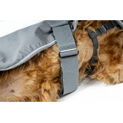 Coperta per cane Horseware Newmarket Carbone di legna Witney Grigio