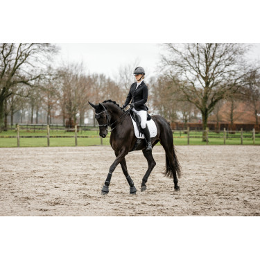 Guanti Horseware AA Platinium Nero