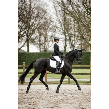 Guanti Horseware AA Platinium Nero