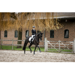 Guanti Horseware AA Platinium Nero