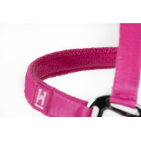 Capestro e lunghina Horseware Newmarket Rose witney Rosa Capestro e lunghina Horseware Newmarket Rose witney Rosa